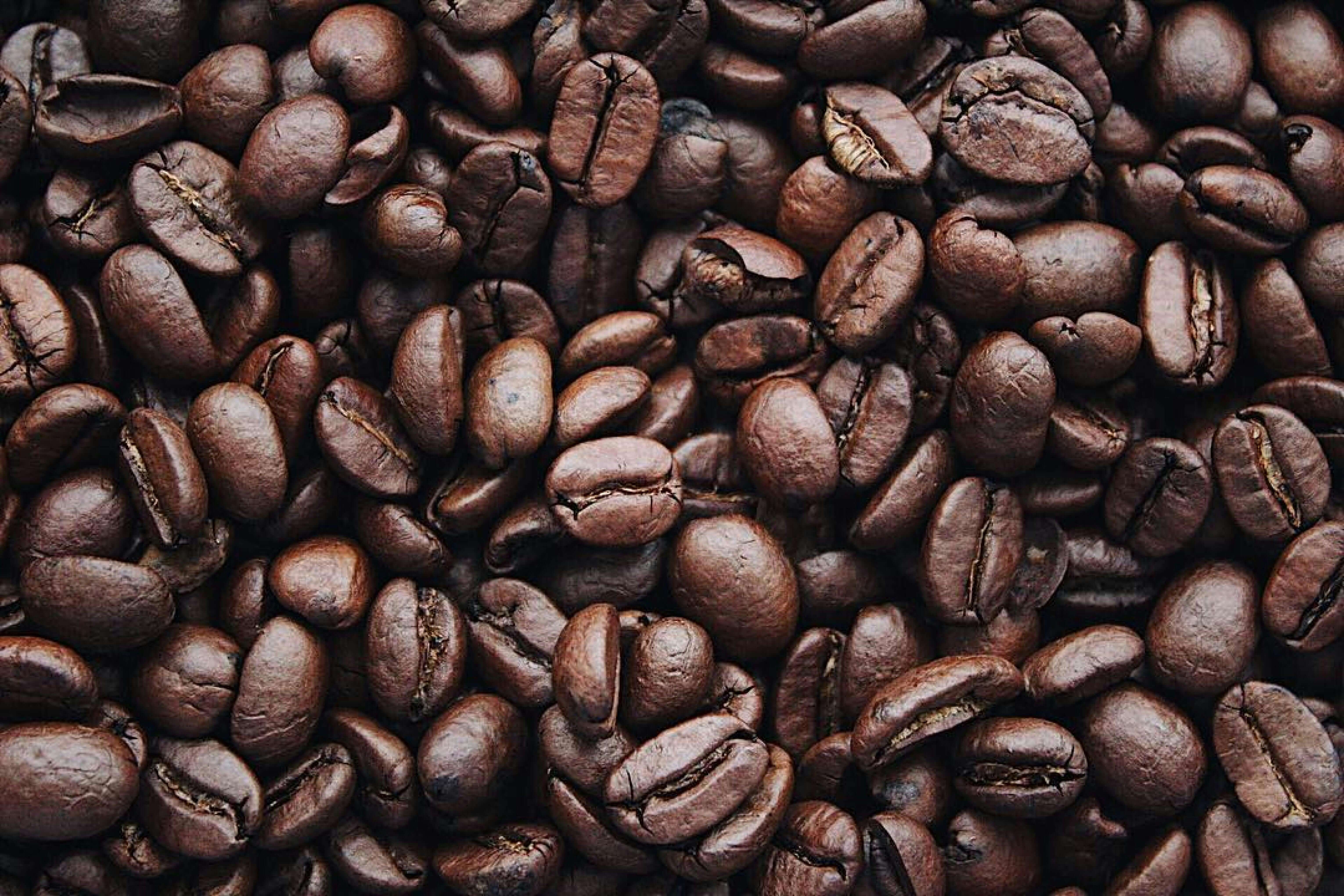 Study Links Moderate Coffee Consumption to Reduced Risk of Type 2 Diabetes