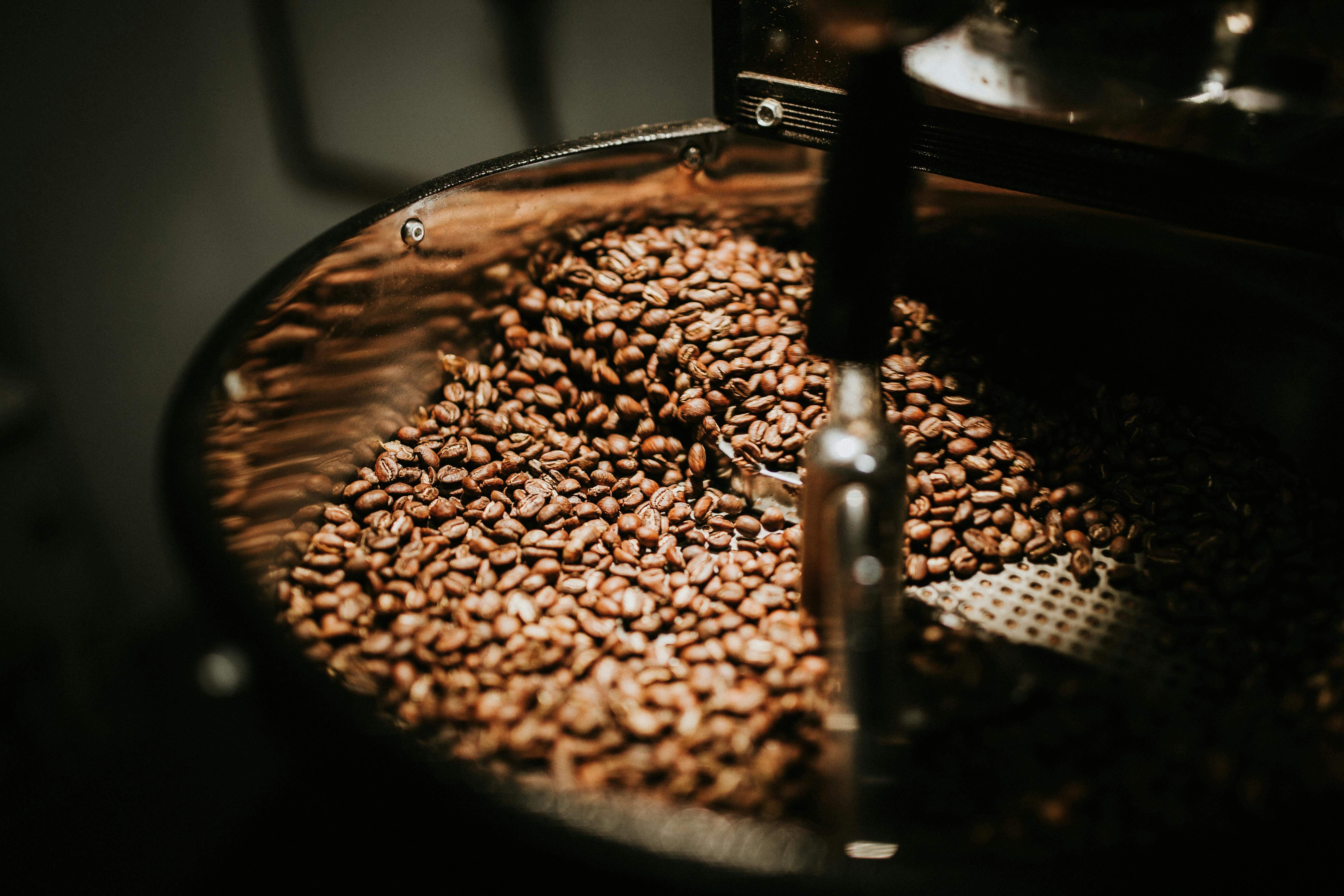 Sustainable Coffee Certification Grows 35% Globally as Consumers Prioritize Ethical Sourcing